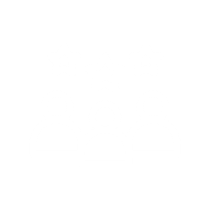 Professional Team